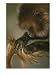 A Female Gelada, Theropithecus Gelada, Grooms Her Mates Tail Animals Photographic Poster Print by Michael Nichols, 12x16 Image