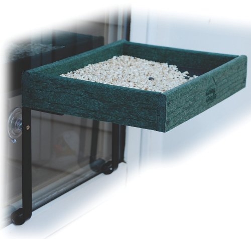 Aububon/Woodlink Go Green Window Feeder