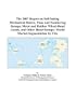 The 2007 Report on Self-Inking Mechanical Daters, Time and Numbering Stamps, Metal and Rubber Wheel-Band Goods, and Other Hand Stamps: World Market Segmentation by City