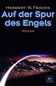 Auf der Spur des Engels: Roman