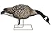 Avian-X Honker Feeder Full Body Goose Decoys 6 Pack
