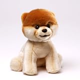 Boo - The World's Cutest Dog