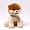 Boo - The World's Cutest Dog