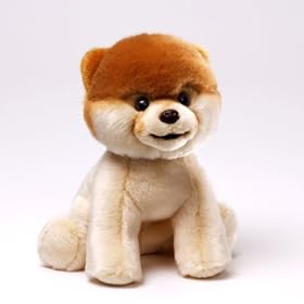 Boo - The World's Cutest Dog