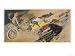 The Chase!, a Symbolic Depicting of the Immense Enthusiasm for Motor Racing Stretched Canvas Poster Print