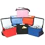 Ensign Peak Deluxe Insulated Lunch Cooler