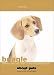 Book Beagles (About Pets)