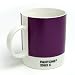 Pantone Mug