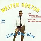 Little Boy Blue