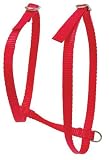 Cat Harness Red