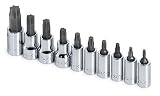 SK Hand Tools 84209 10-Piece 1/4-Inch and 3/8-Inch Drive Torx Bit Socket Set