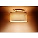 Arcon 18107 Amber Replacement Lens