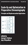 Scale-up and Optimization in Preparative Chromatography: Principles and Biopharmaceutical Applications