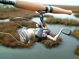 Sporting Goods : Quantum Energy E30 PTI Miniature Rod & Reel