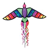 GoFlyAKiteIslandBirdKite