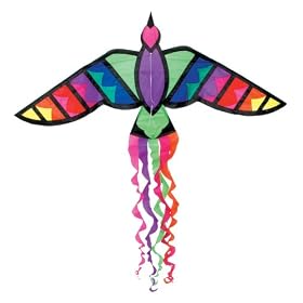 Go Fly A Kite Island Bird Kite by Go Fly A Kite