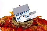 Wallmonkeys Peel and Stick Wall Decals - Nest - 24"W x 16"H Removable Graphic