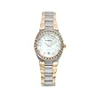 Fossil Women's AM4183 Two-Tone Quartz Mother-of-Pearl Dial Watch