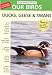 Thayer Our Birds -Our Duck, Birds, Geese and Swans CD-ROM