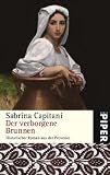 Der verborgene Brunnen: Historischer Roman aus der Provence