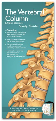 Chiropractic
