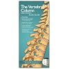 Anatomical Chart Company's Illustrated Pocket Anatomy: The Vertebral Column & Spine Disorders Study Guide