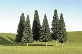 Pine Trees, 8-10 (3)