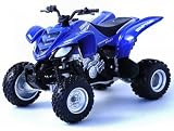 Review   / Die-cast Model Yamaha Raptor Quad Bike (1:18 scale in Blue)