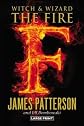 The Fire   [FIRE -LP] [LARGE PRINT] [Hardcover]