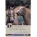 Training Your Foal: Raising a Foal - From Birth to Backing