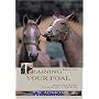 Training Your Foal: Raising a Foal - From Birth to Backing