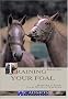 Training Your Foal: Raising a Foal - From Birth to Backing