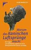 Warum das Kaninchen Luftspruenge macht