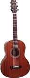 Wechter Model 1720 Elite Travel Guitar