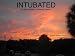 Intubated (The Rehabilitation of Rebekah Dawson) con Libri relativi al nominativo: 4103bvZgtDL._SL75_