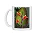 Photo Mugs of DAD-1052 Canna Indica Purpurea from Ardea Wildlife Pets