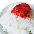 鳥取県産　白米　コシヒカリ極太米（10kg）平成23年度産［送料無料］[常温]