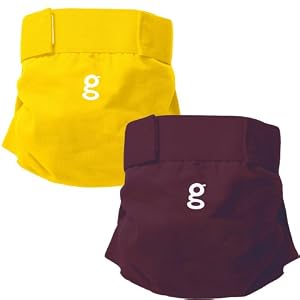gDiaper 2 Pack - 2 gPants - Good Morning Sunshine + Grecian Fig