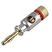 4MM PLUG CHROME/GOLD RED