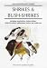 Shrikes and Bush-shrikes: Incl...