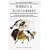 Shrikes and Bush-shrikes: Including Wood-shrikes, Helmet-shrikes, Shrike Flycatchers, Philentomas, Batises and Wattle-eyes (Helm Identification Guides)