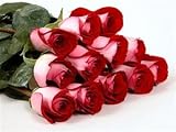 Two Dozen Long Stemmed Premium Fire and Ice Roses