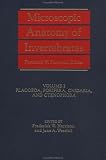 Microscopic Anatomy of Invertebrates, Placozoa, Porifera, Cnidaria, and Ctenophora: 002 (Microscopic Anatomy of Invertebrates Vol. 2)