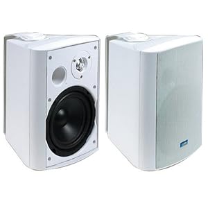 TIC ASP120 outdoor speakers sold as a pair at Amazon.com