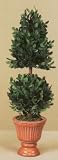 19EVERGREEN BUXUS CONE BALL TOPIARY 2PC.