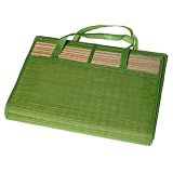  Beach/picnic Mat - Solid Green Design