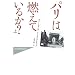 ���傯��