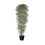 8ft Japanese Bamboo with Natural Stems - Artificial Plant