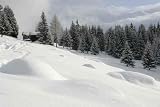 Winter - 24