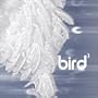 Bird 3